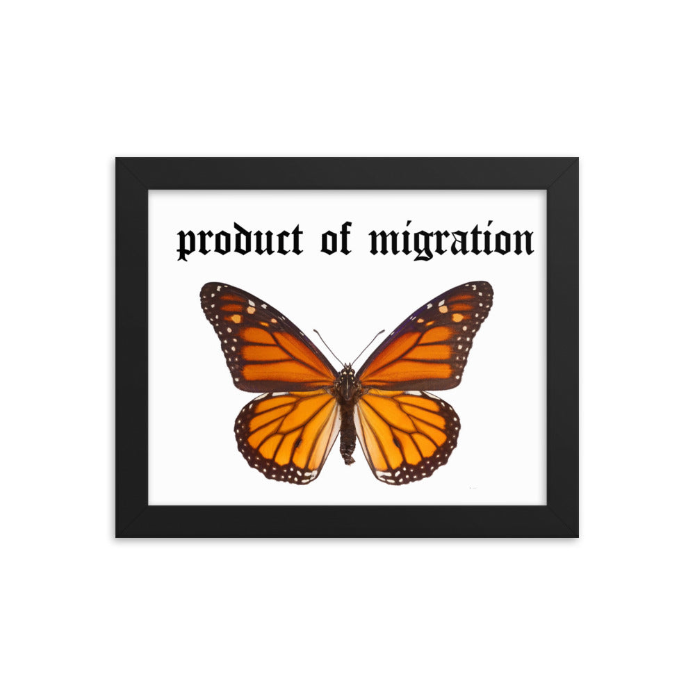 Product of Migration -Framed poster